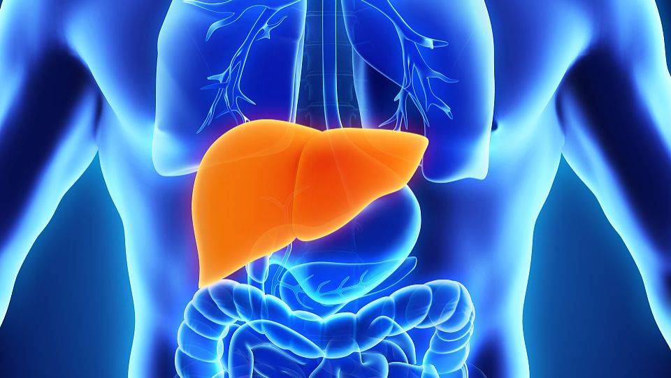 铁蛋白的临床意义包括测定肝脏功能