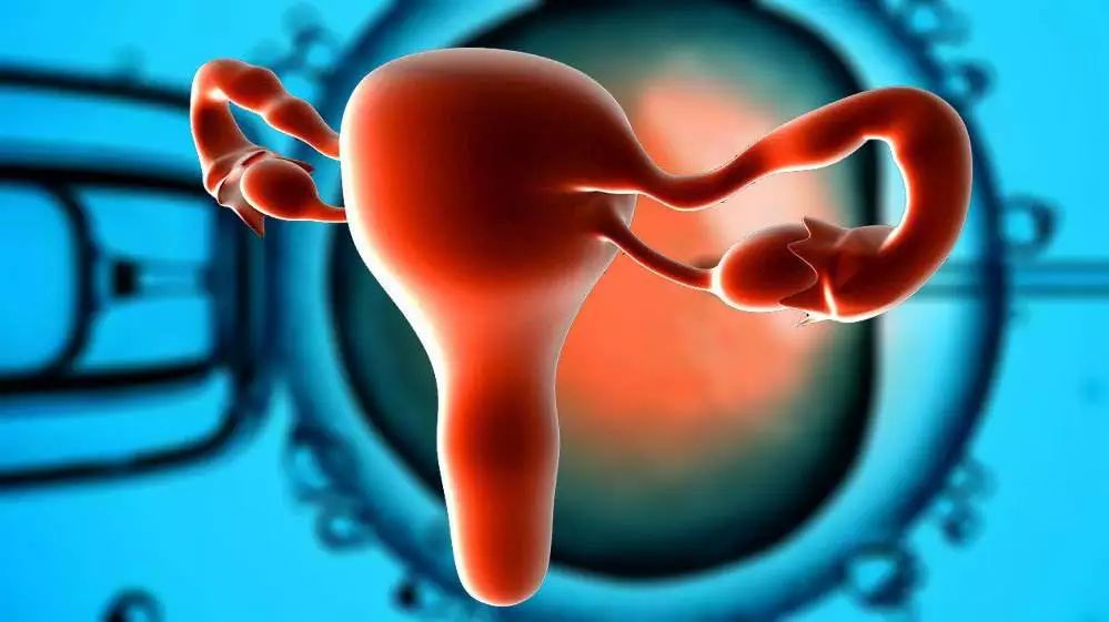 克罗米芬可以用来测试卵巢功能