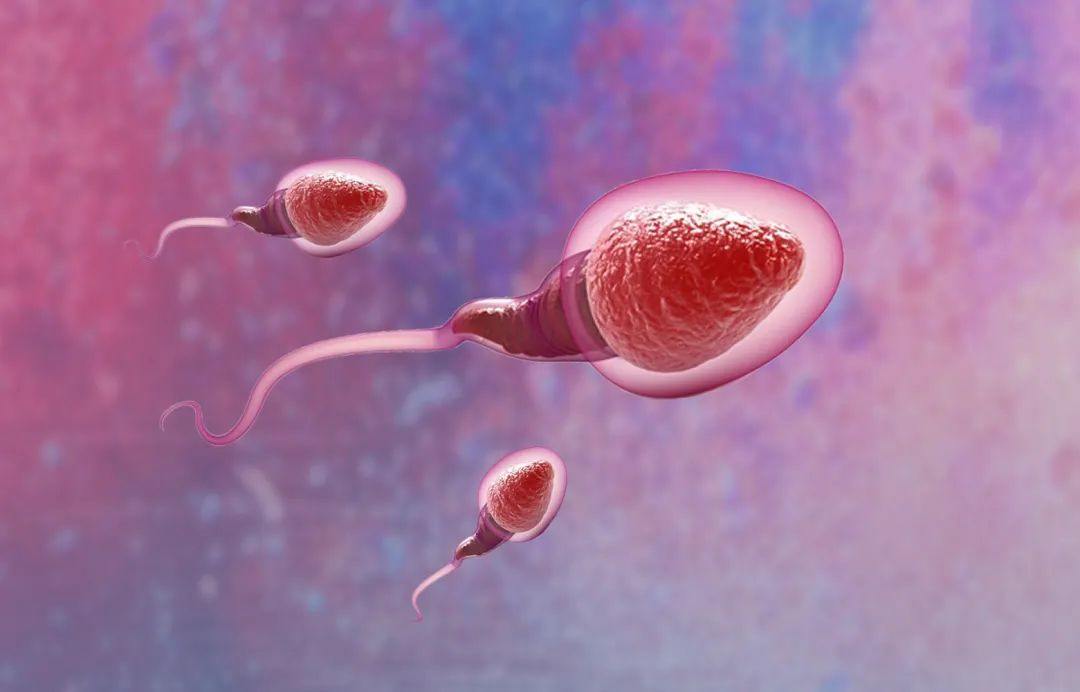人工授精对精子的要求较低