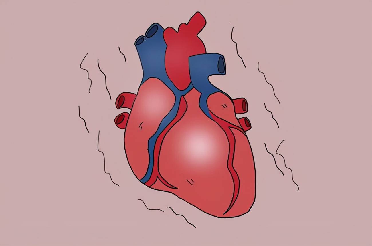 心脏急救措施包括心脏复苏