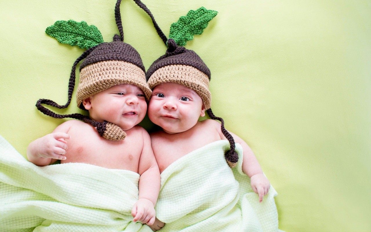异卵双胞胎的受孕过程