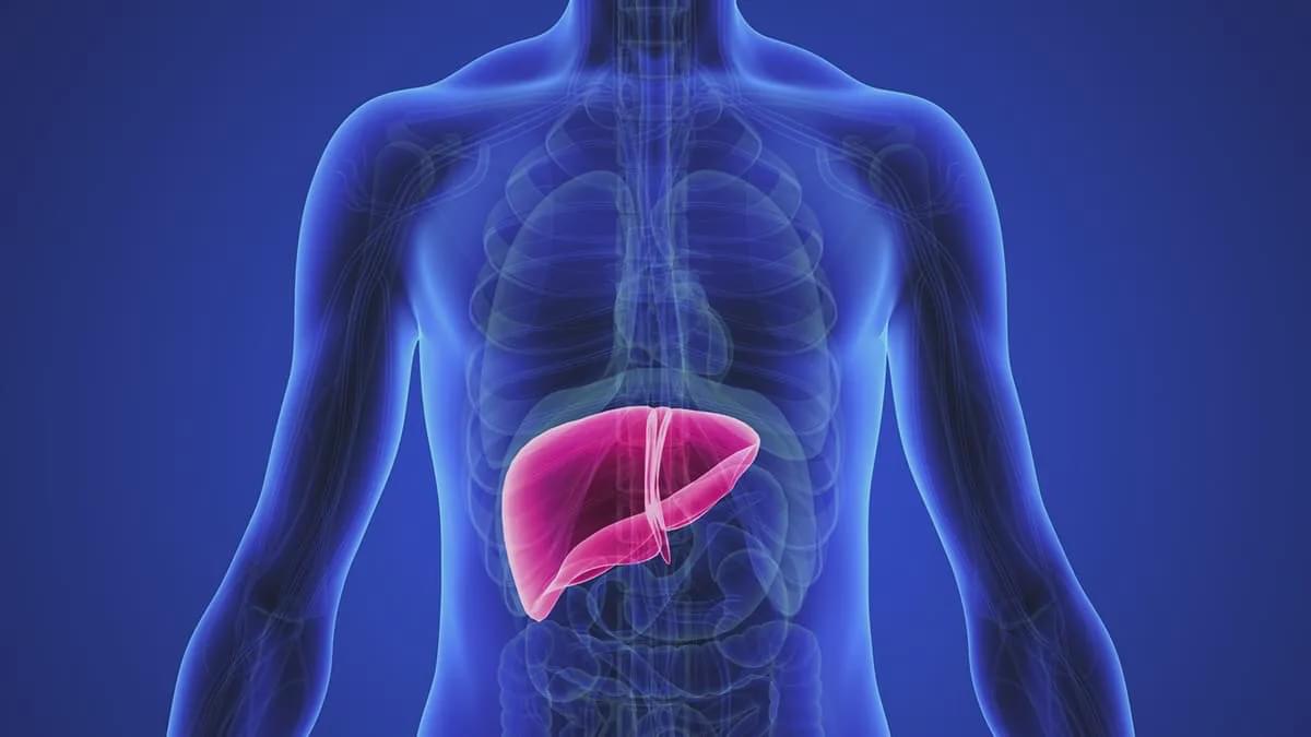 甘胆酸偏高可能是肝脏疾病导致