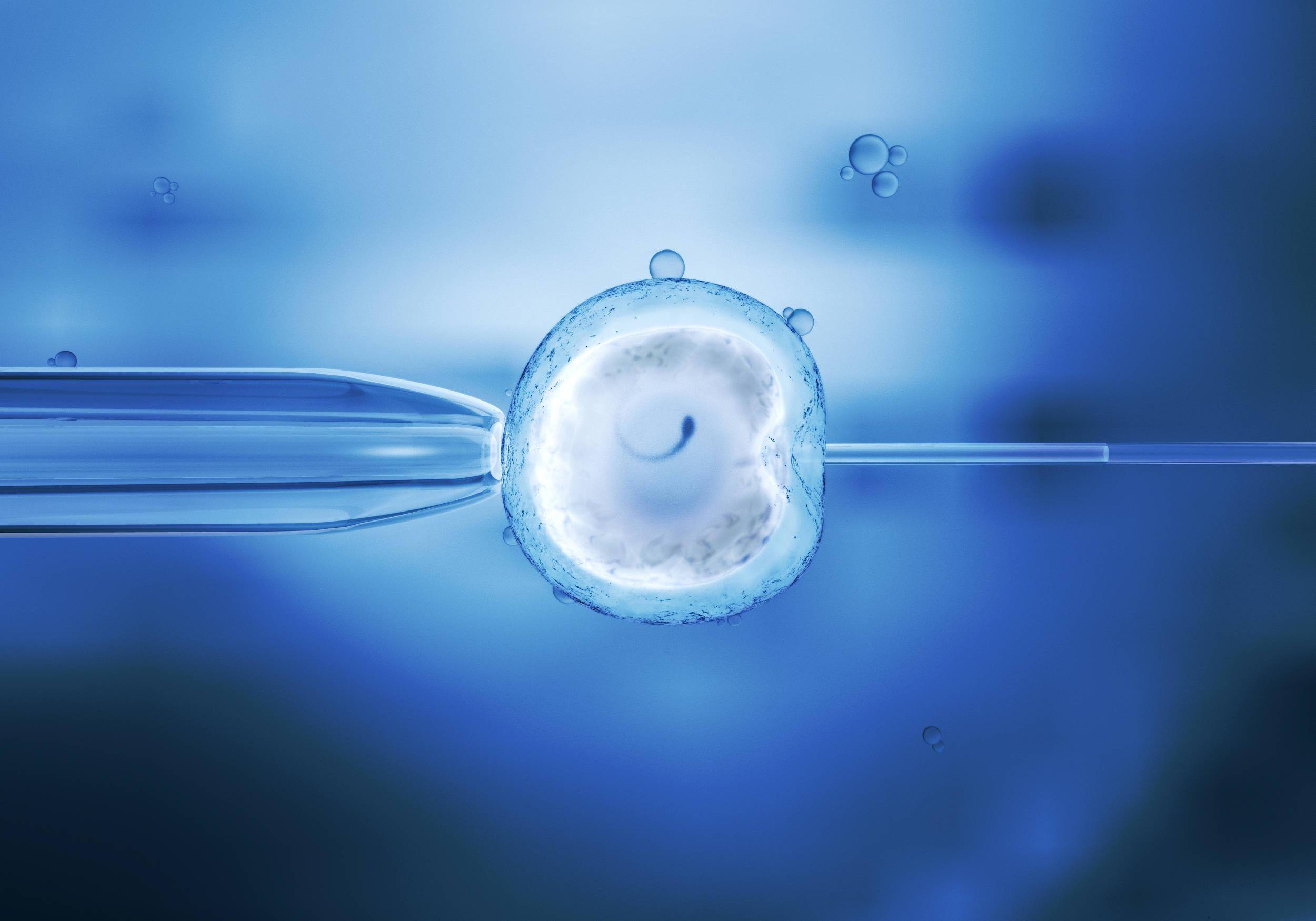 大龄未婚女性不适宜鲜胚移植