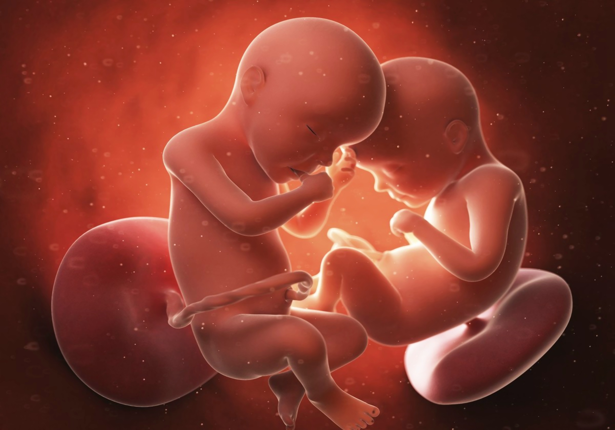 胎儿体型过大会导致开指慢