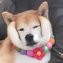 李桂芳的主页