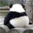 李宝国的主页
