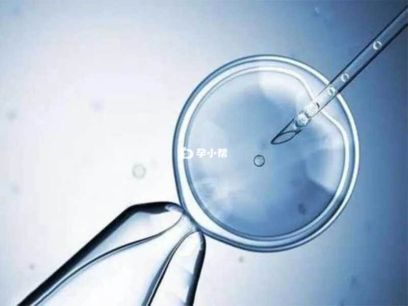 供卵试管婴儿是一种人工辅助生殖技术