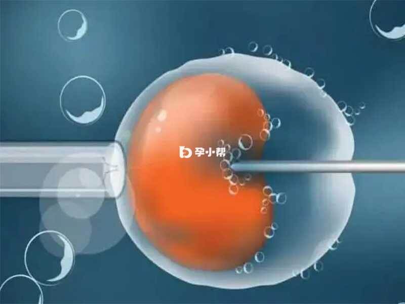 ‌山东省妇幼保健院试管成功率在45%-55%
