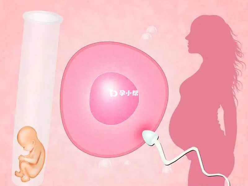 武汉试管技术好的医院有很多