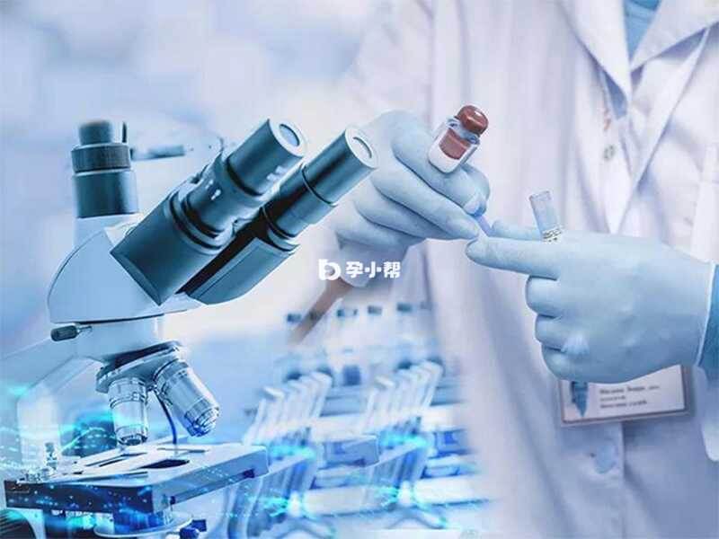 格鲁吉亚试管成功率较高