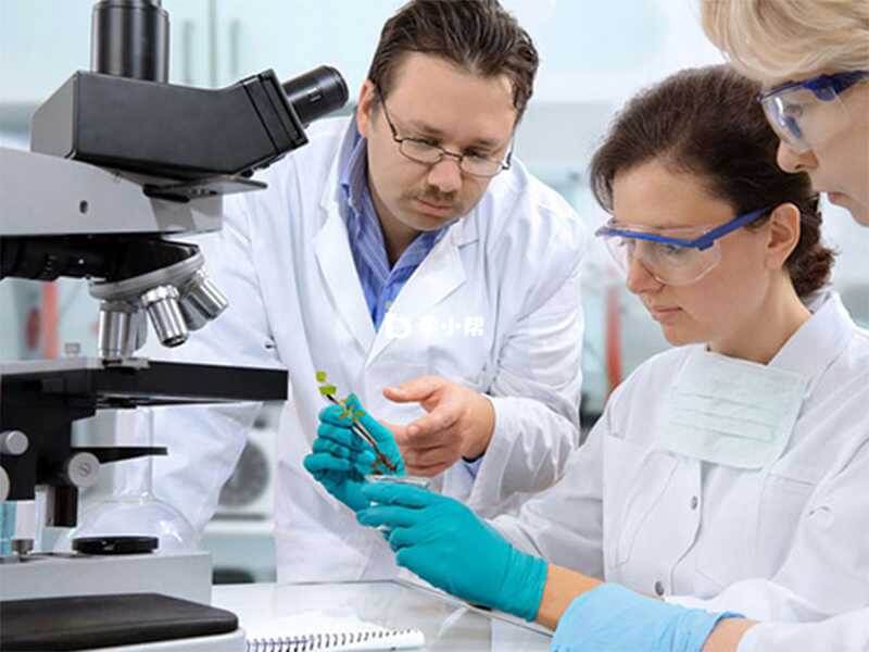 格鲁吉亚也存在非正规试管医院