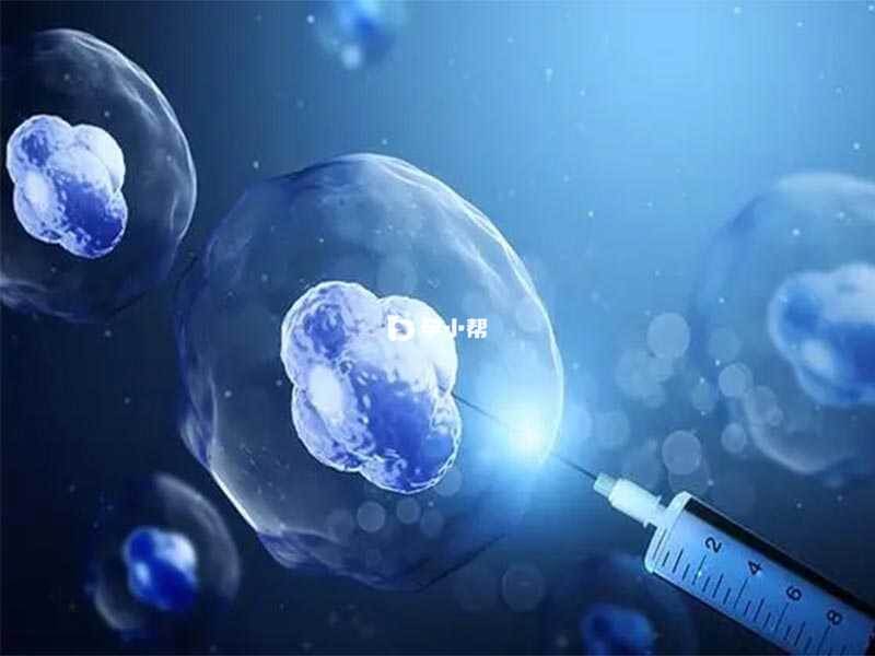 不同的试管技术费用是不一样的