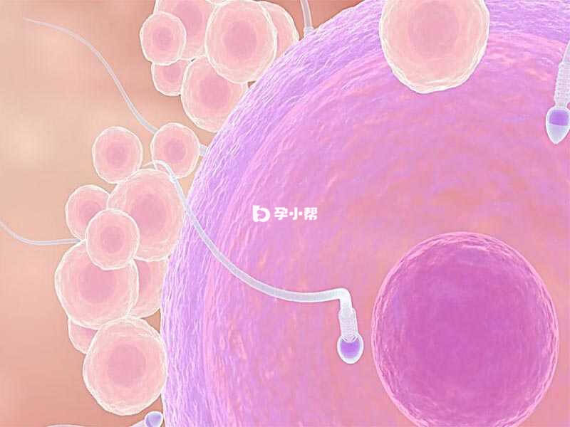 浙江省妇保医院做供卵试管需要排队