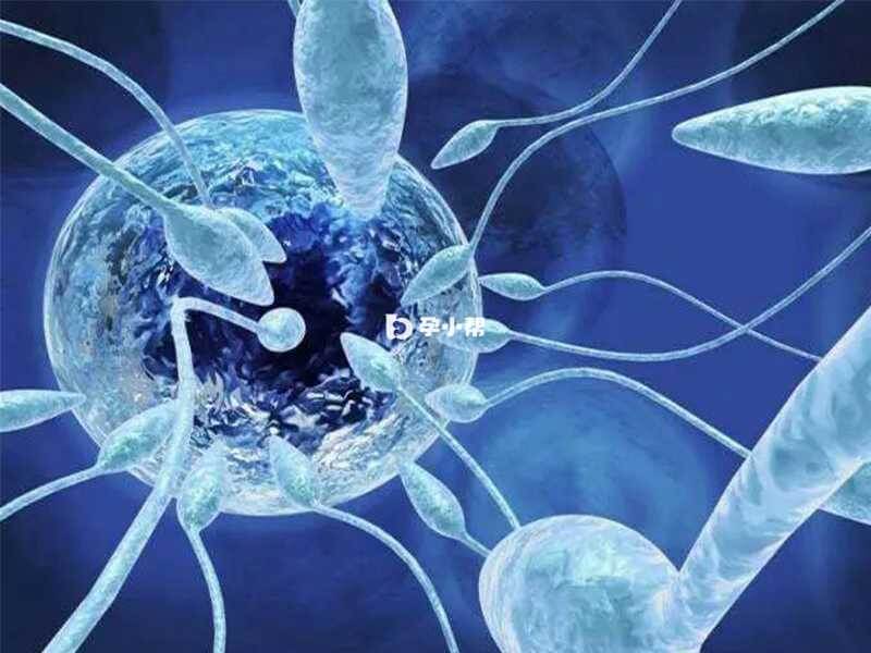 试管婴儿费用包括多个方面