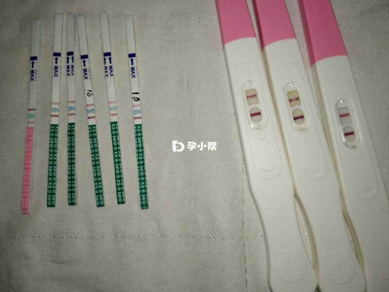 排卵试纸主要用于监测女性排卵