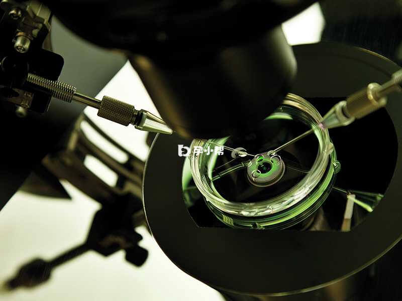 人工授精成功率仅为10%-20%