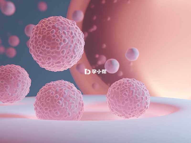 卵巢早衰可以选择做供卵试管