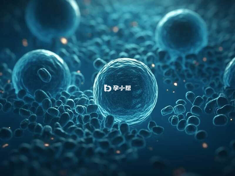 冻胚解冻2-4小时后可以移植