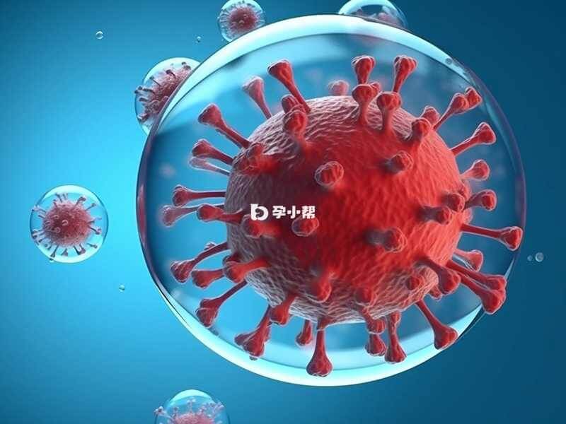 冻胚移植成功率比鲜胚高