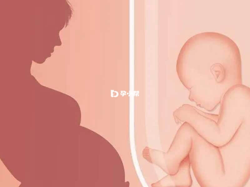 赵小娟冒险做试管婴儿生子