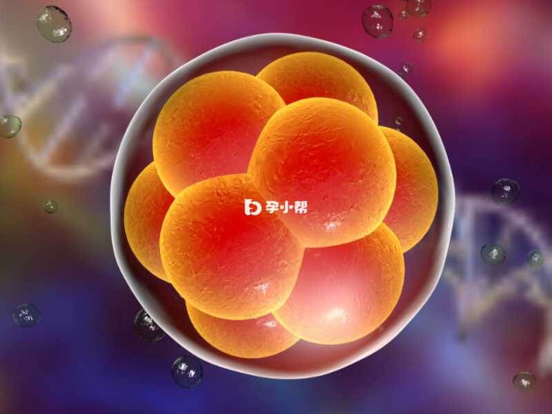 胚胎着床失败的因素有很多