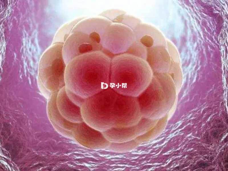 胚胎不着床有很多原因