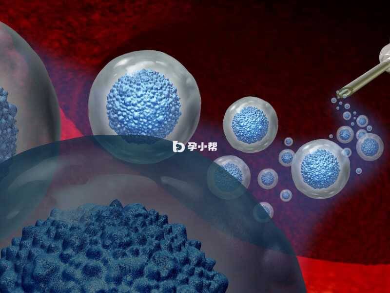 导致胚胎着床失败有很多因素的