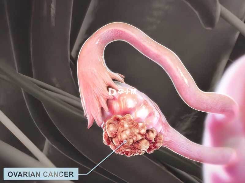 卵巢功能不好的女性很多会选择做试管