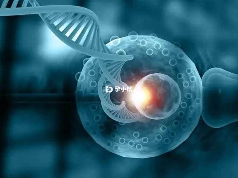 卵巢早衰是可以做试管婴儿的