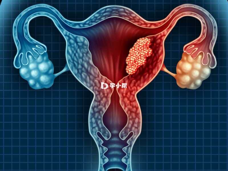 残角子宫一共分为三类