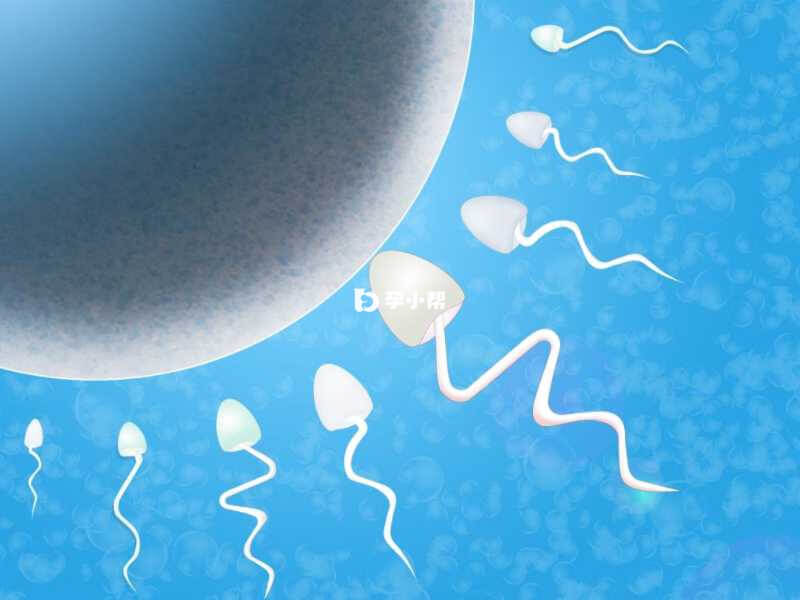 禁欲3-5天精子质量最好