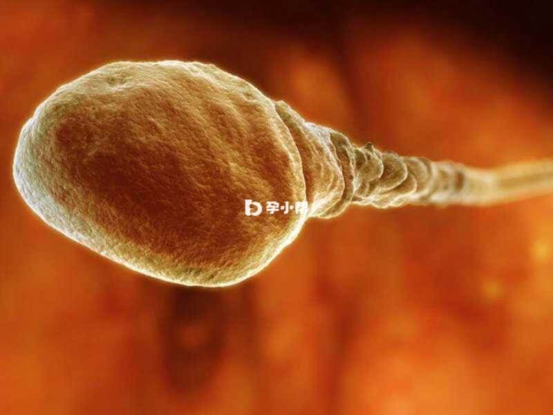 精子质量差的治疗方法很多