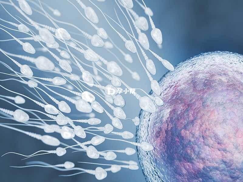 影响精子质量的因素很多