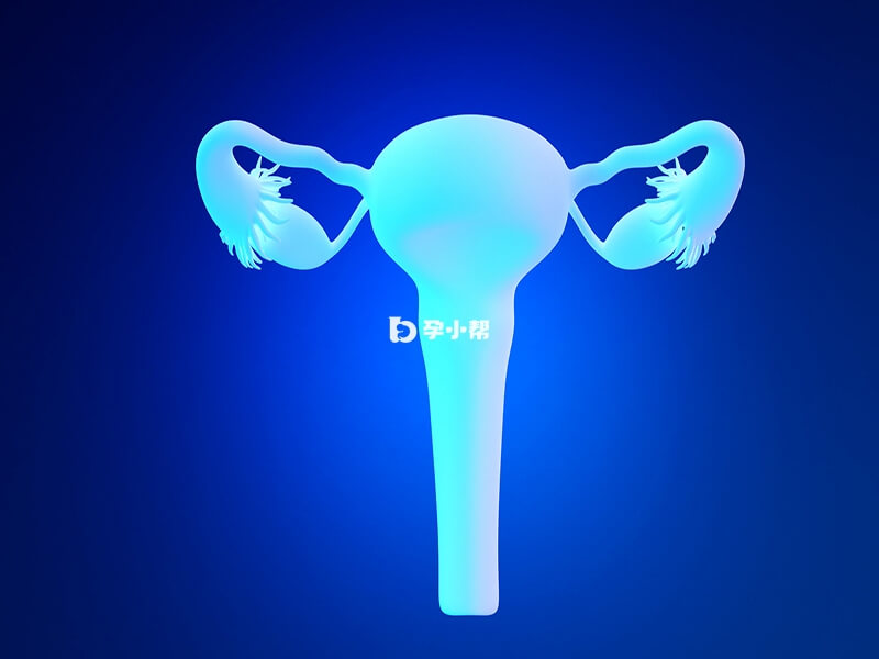 试管婴儿短方案适合输卵管不好的女性