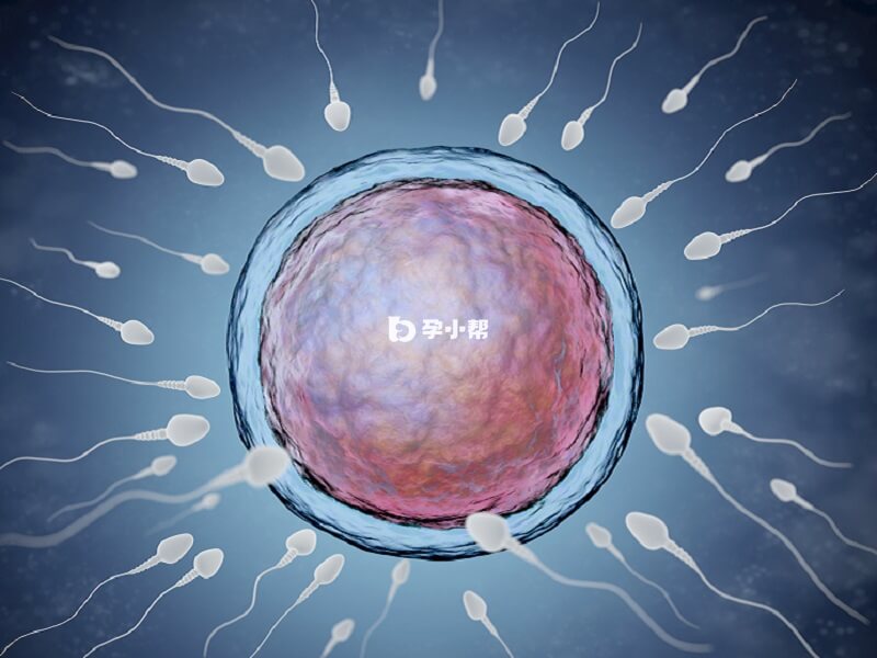 优势卵泡可能3-5天排出