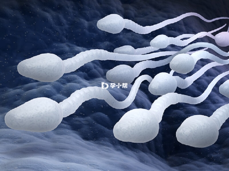 精子碎片率高会影响胚胎发育