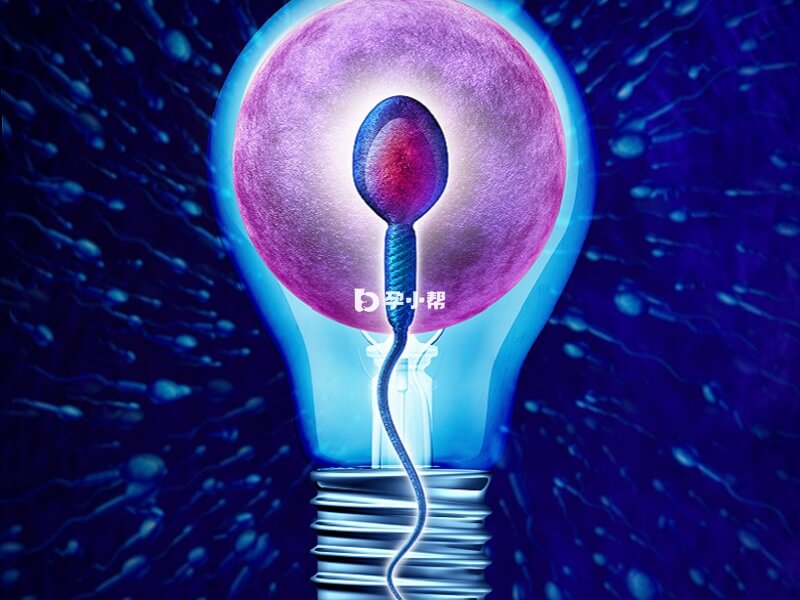 精子碎片率高可能影响男性生育能力