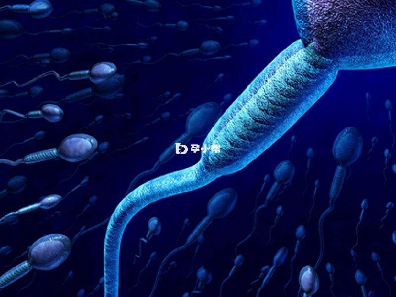 抗精子抗体阳性会影响怀孕