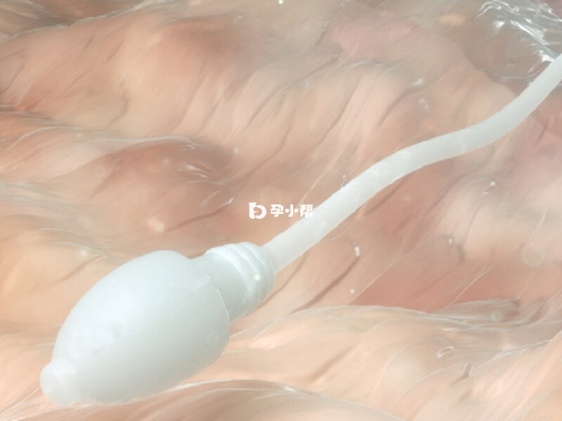 抗精子抗体男女都可能患