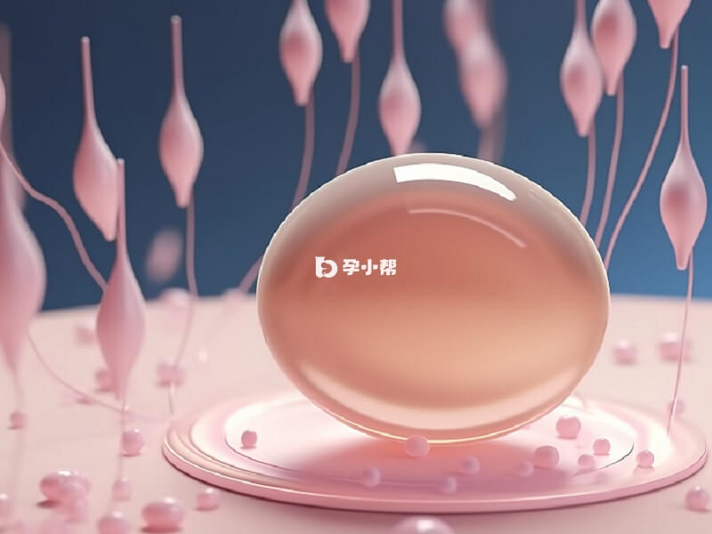 高温蒸浴可直接抑制精子生成