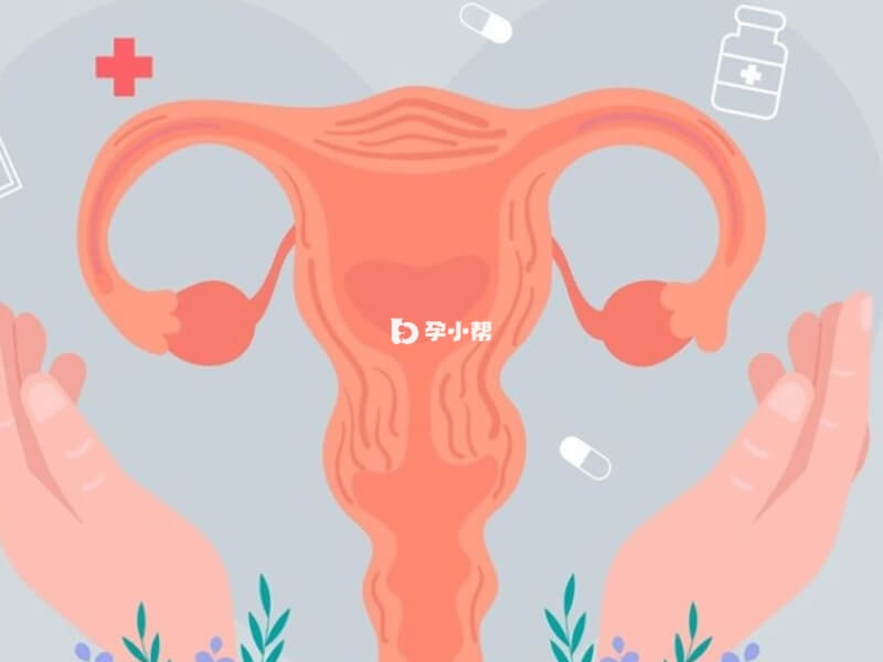 卵巢早衰女性是可以进行冻卵的