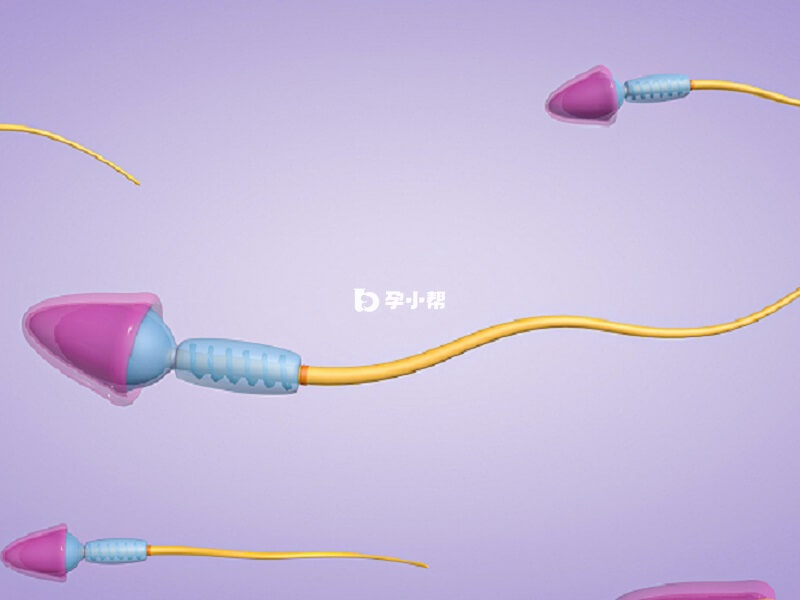 精子活动率不能少于40%