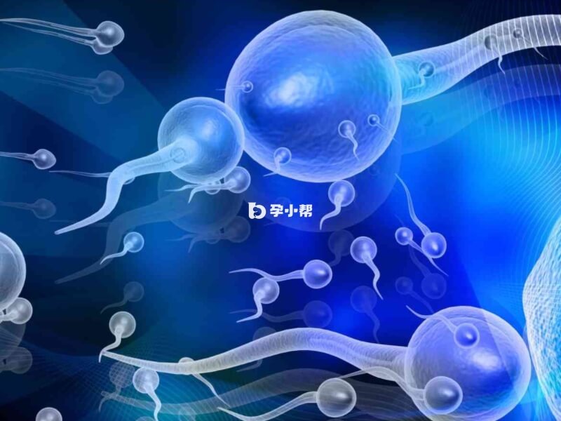 冷冻精子不会影响试管结果