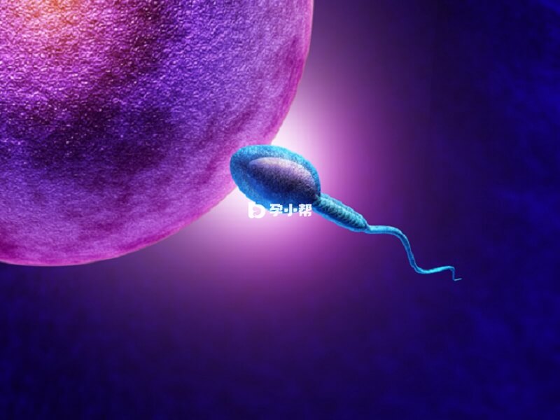 正常的精液会散发出淡淡的腥臭味