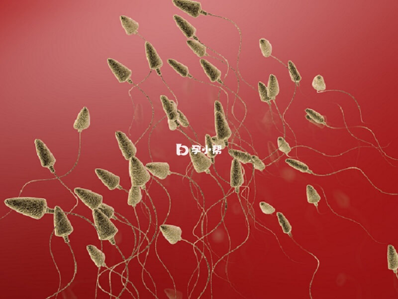 精子数量是受精的基础因素