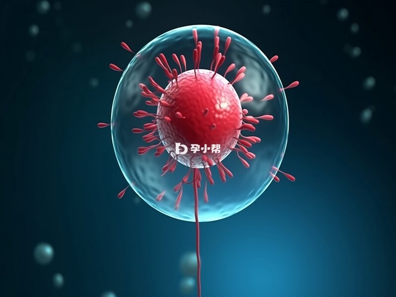 辅酶Q10可以提高精子质量
