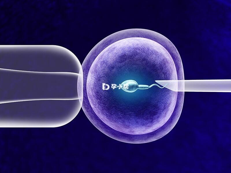 ICSI单精子注射技术受精率高达99%