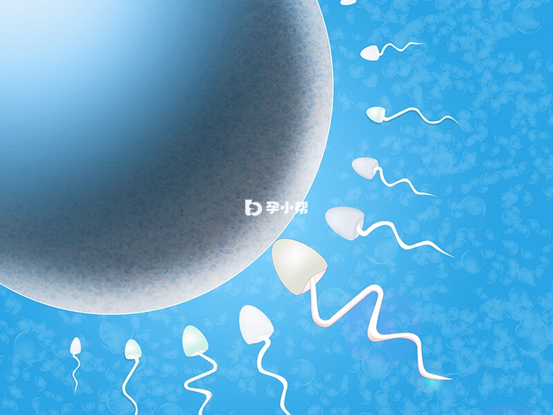 北医三院试管成功率高达60%