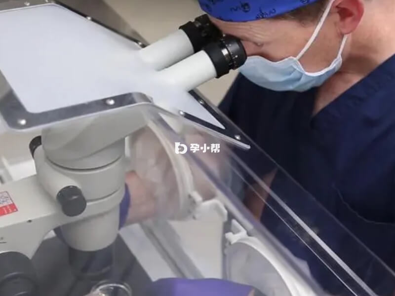 阿尔法助孕中心开展了许多试管医疗服务