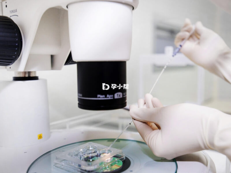 阿尔法助孕中心有很多实验室